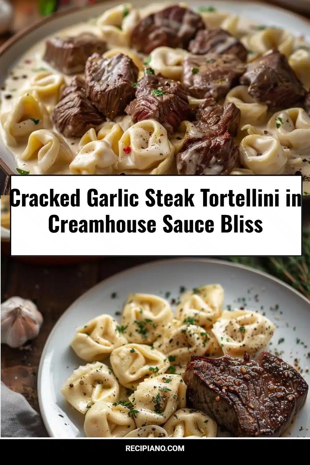 Cracked Garlic Steak Tortellini in Creamhouse Sauce Bliss