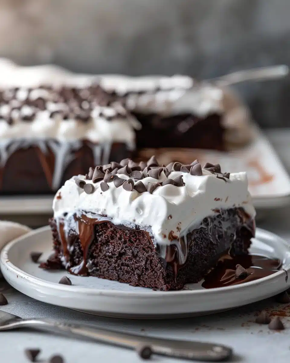 Moist Chocolate Sheet Cake with Whipped Cream and Ganache