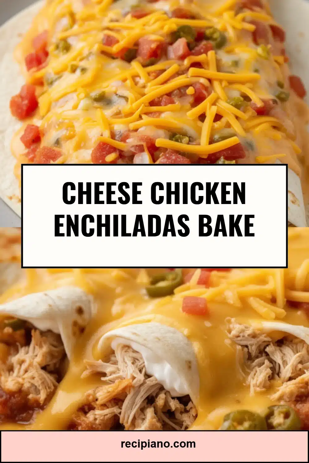 Cheese Chicken Enchiladas Bake