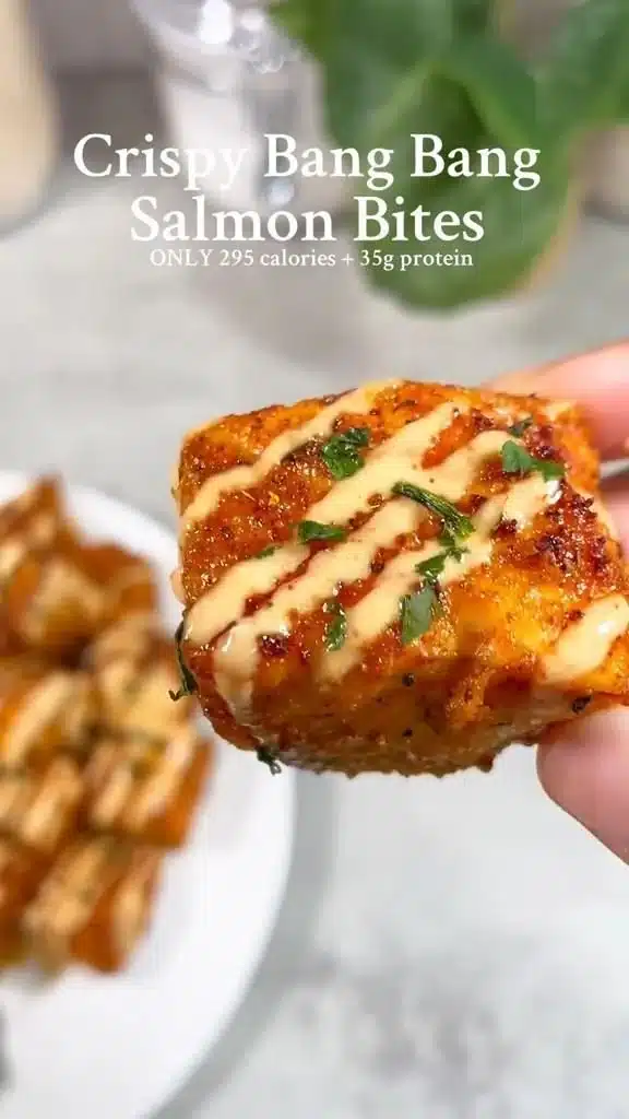 Salmon Protein Bites
