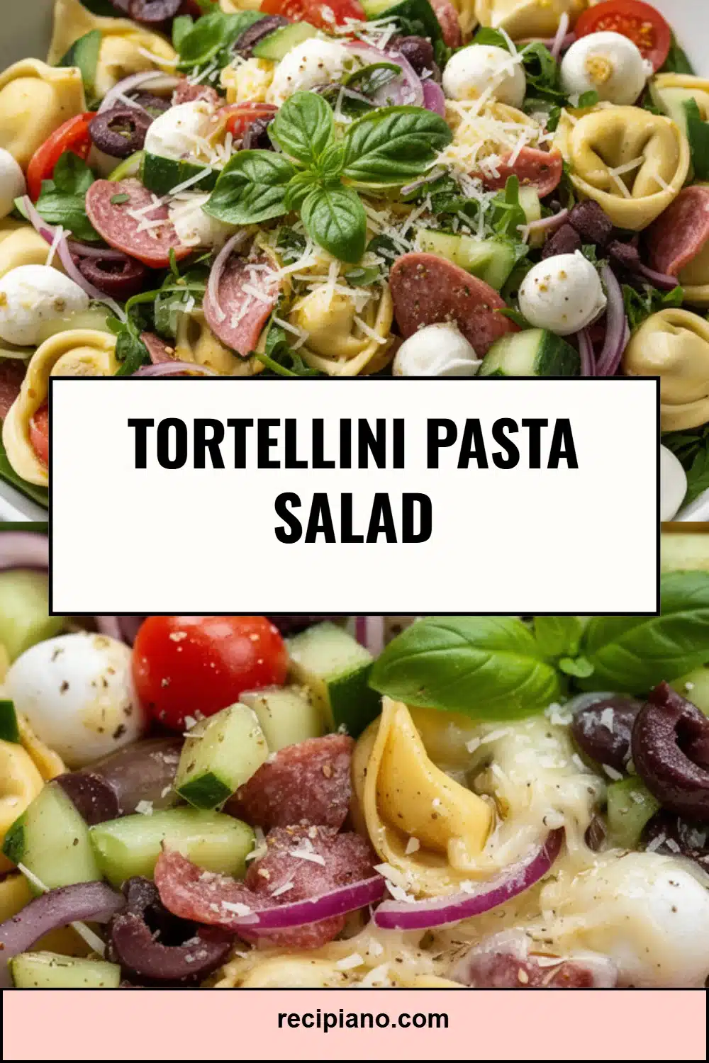 Tortellini Pasta Salad